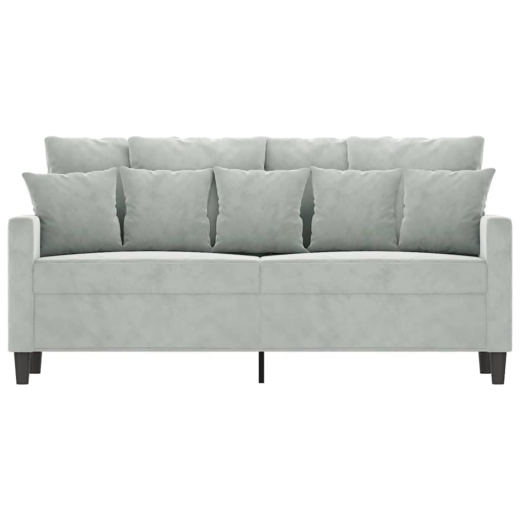 Light Gray Velvet 2-Seater Sofa P570