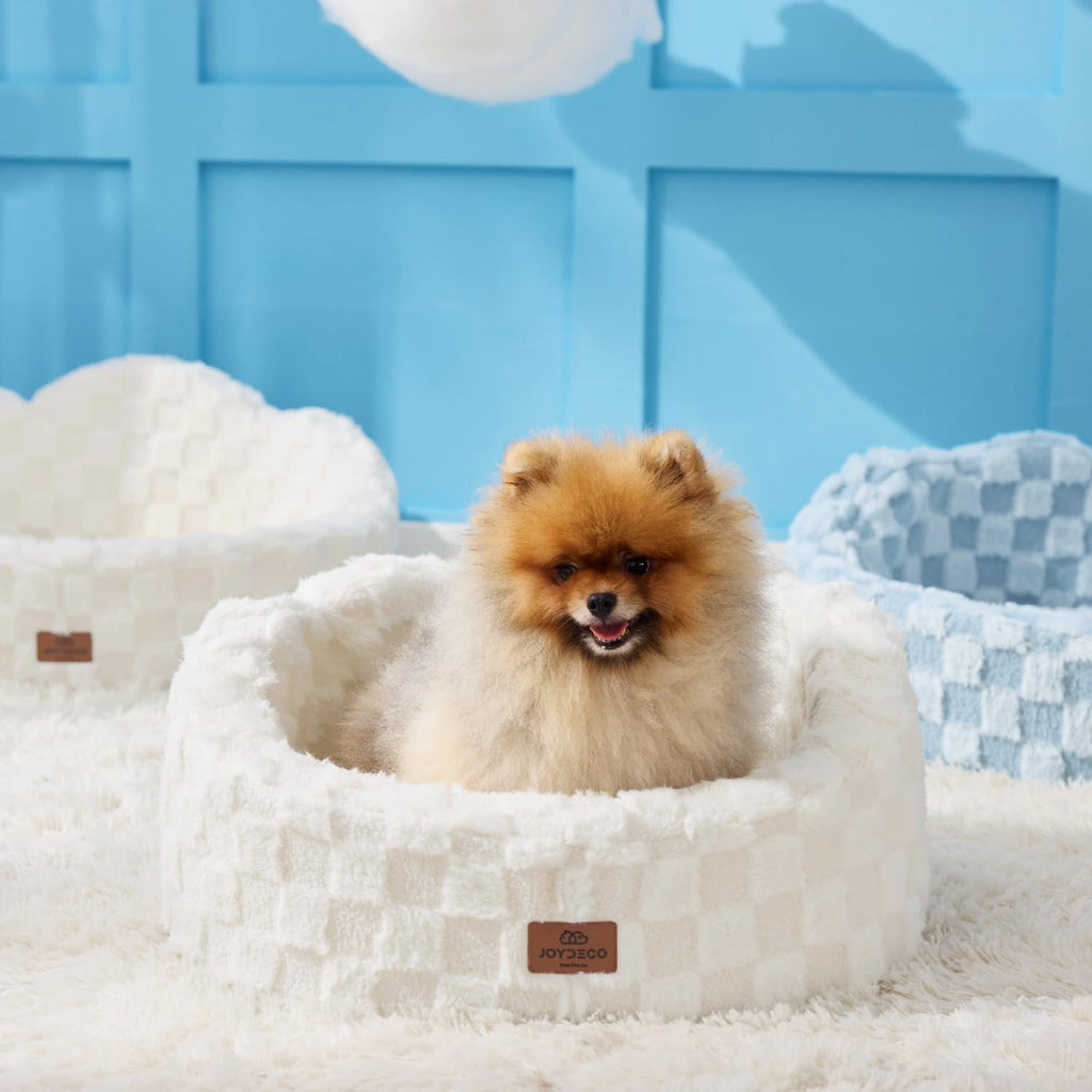 Washable Dog Bed with Orthopedic Foam White Q377