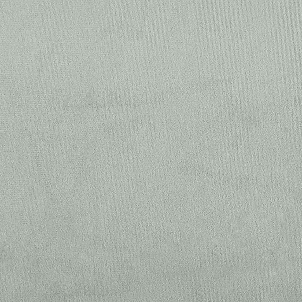 Light Gray Velvet 2-Seater Sofa P570
