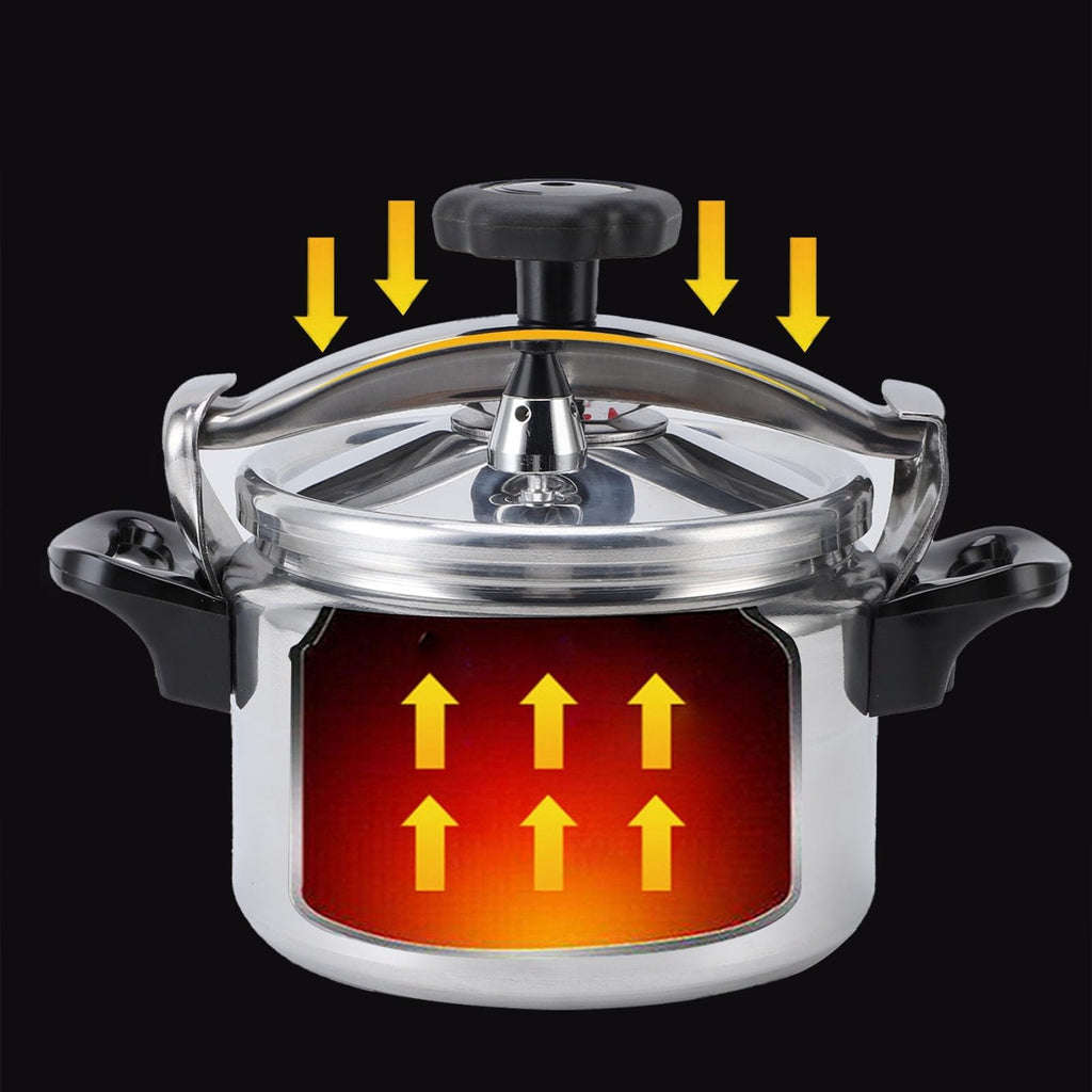 Stainless Steel 4L Pressure Cooker F151