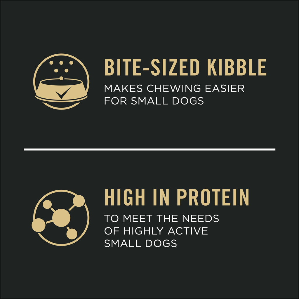 Chicken & Rice Small Breed Puppy Food 6 lb Bag P7958