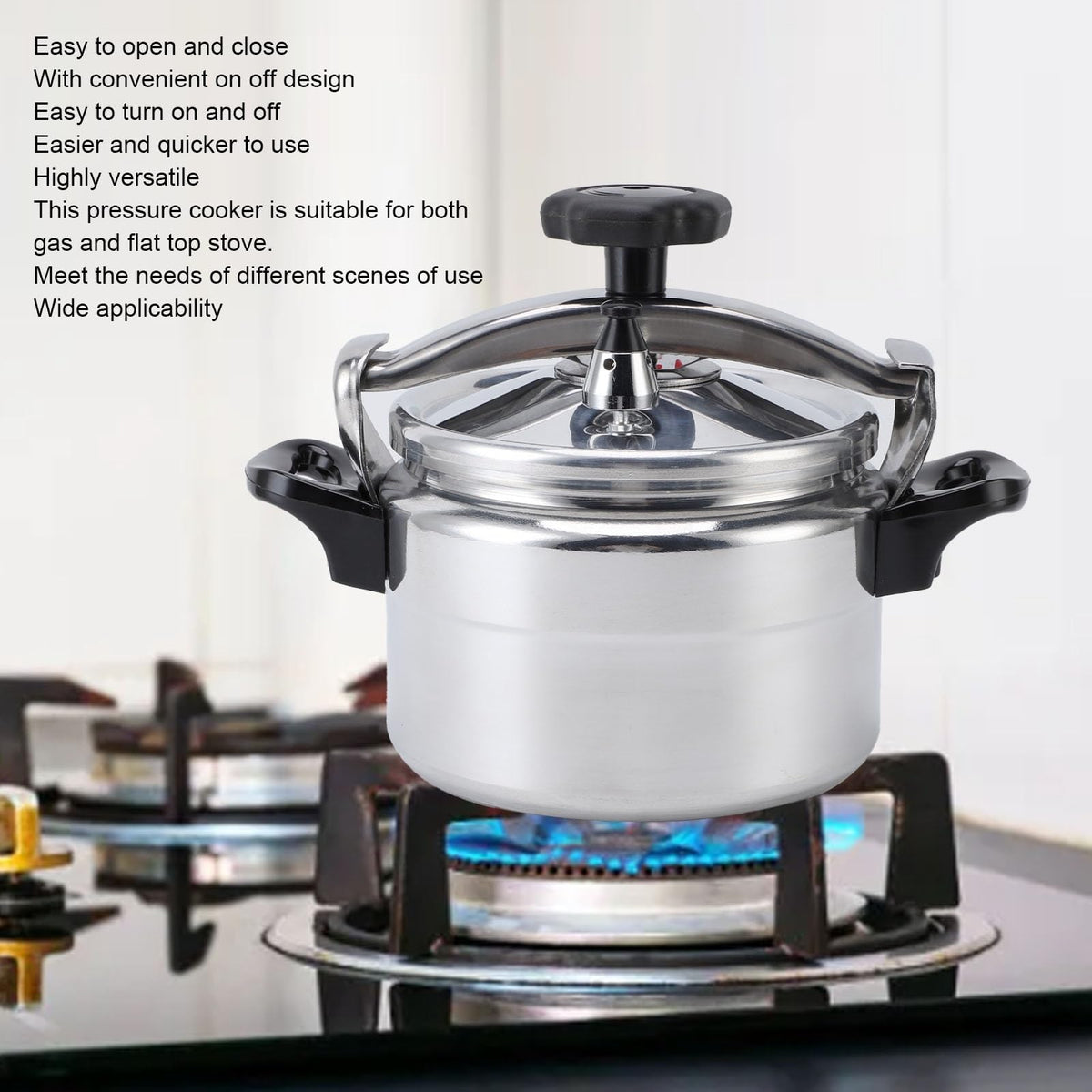 Stainless Steel 4L Pressure Cooker F151