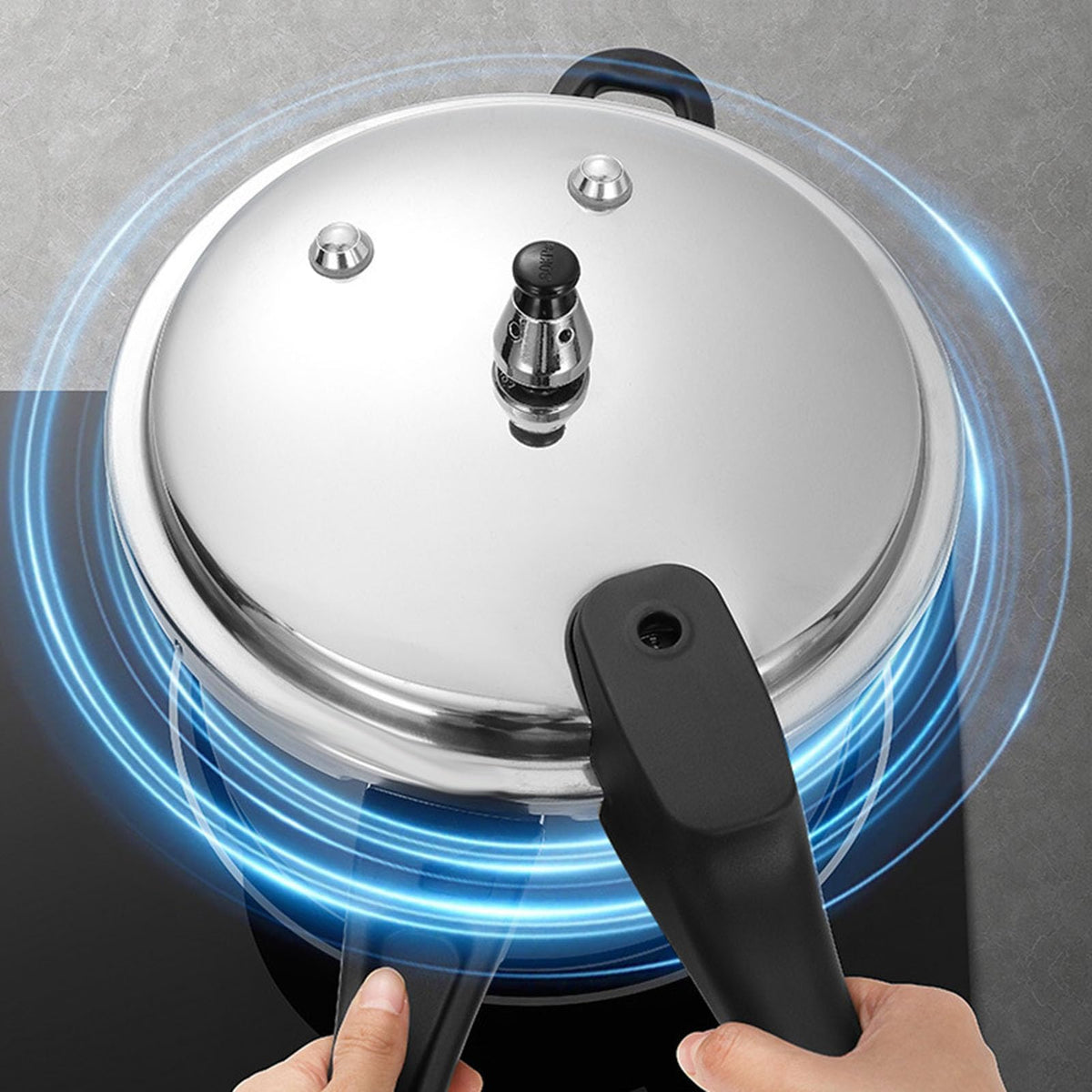 Universal Pressure Cooker 3L L891313