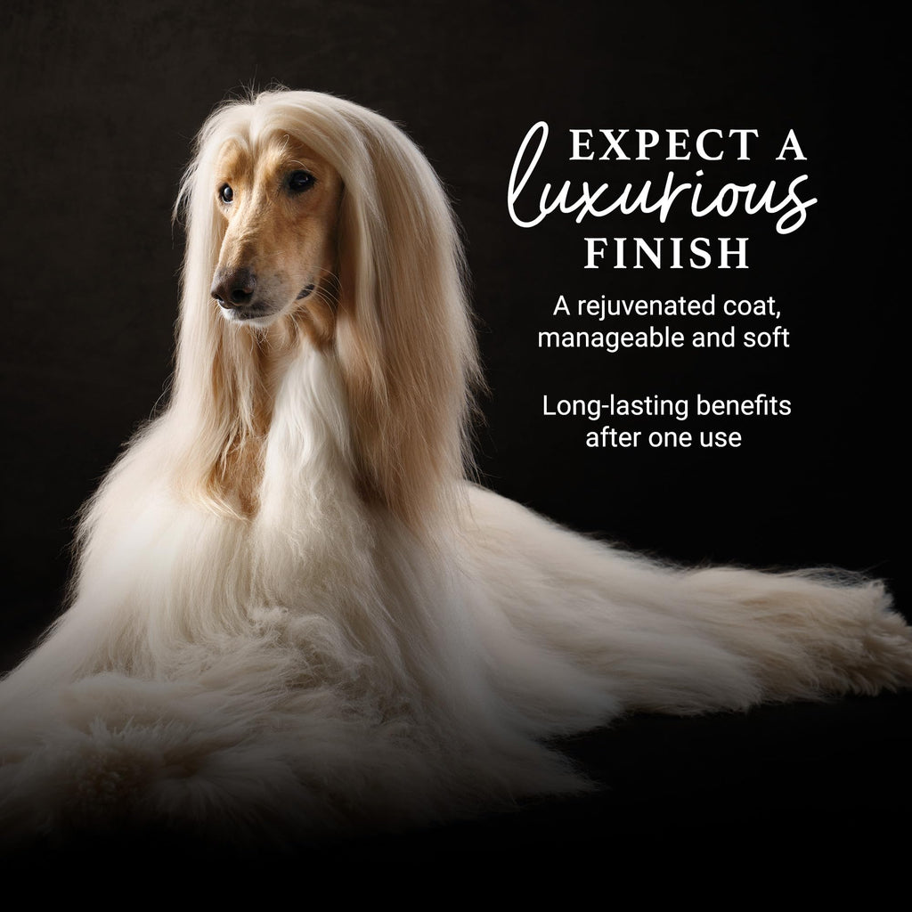 16 oz Dog Detangling Conditioner W511158