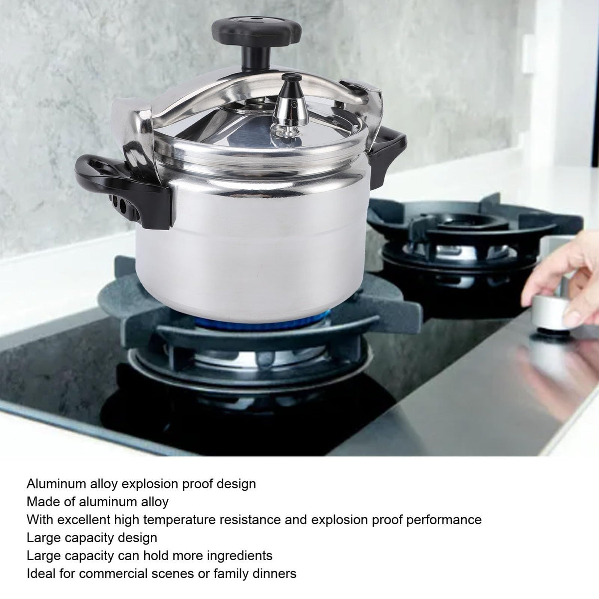 Stainless Steel 4L Pressure Cooker F151