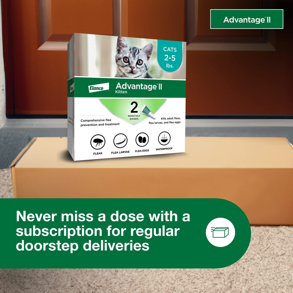 Topical Flea Treatment & Prevention 2ct J101028