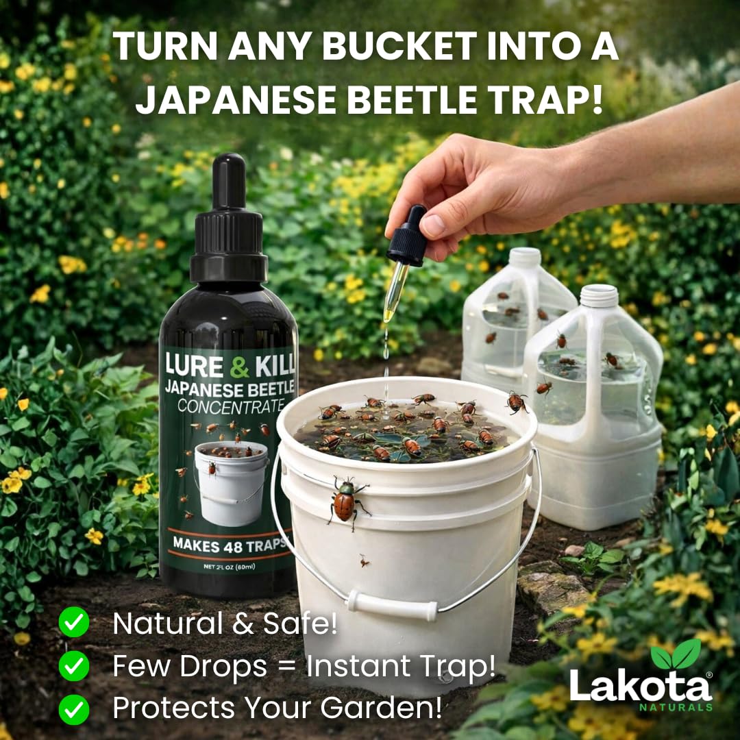 Japanese Beetle Traps Outdoor Killer Lure & Kill Concentrate W9794