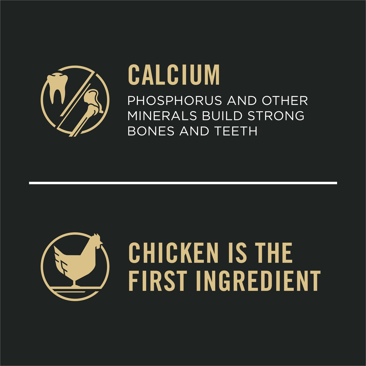 Chicken & Rice Small Breed Puppy Food 6 lb Bag P7958