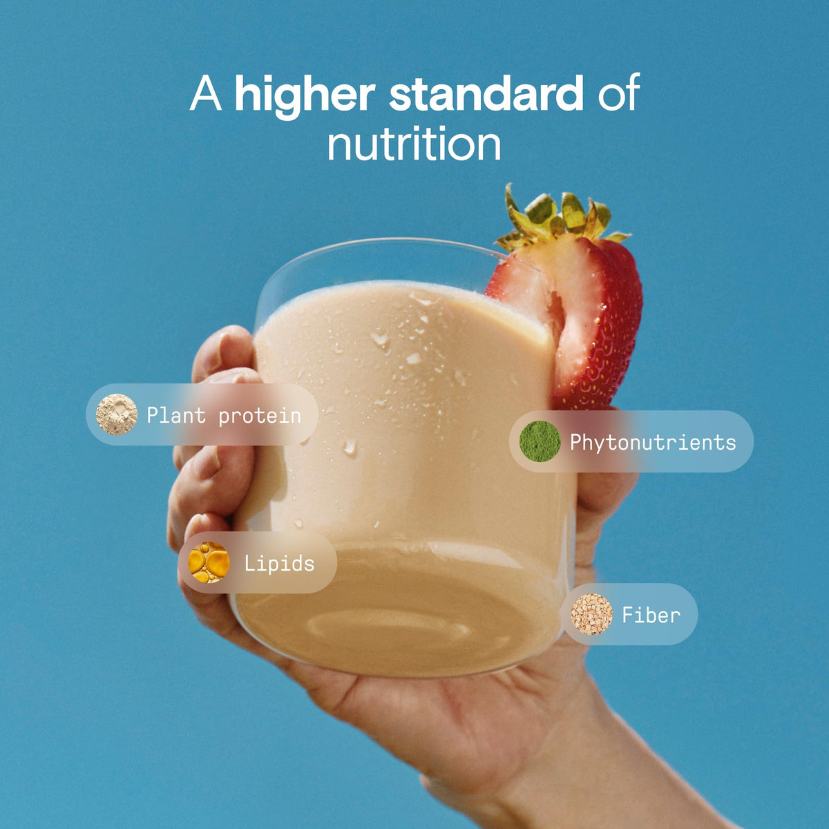 Organic Nutrition Shake, Strawberry, 16g Protein, 12 Pack Z17031