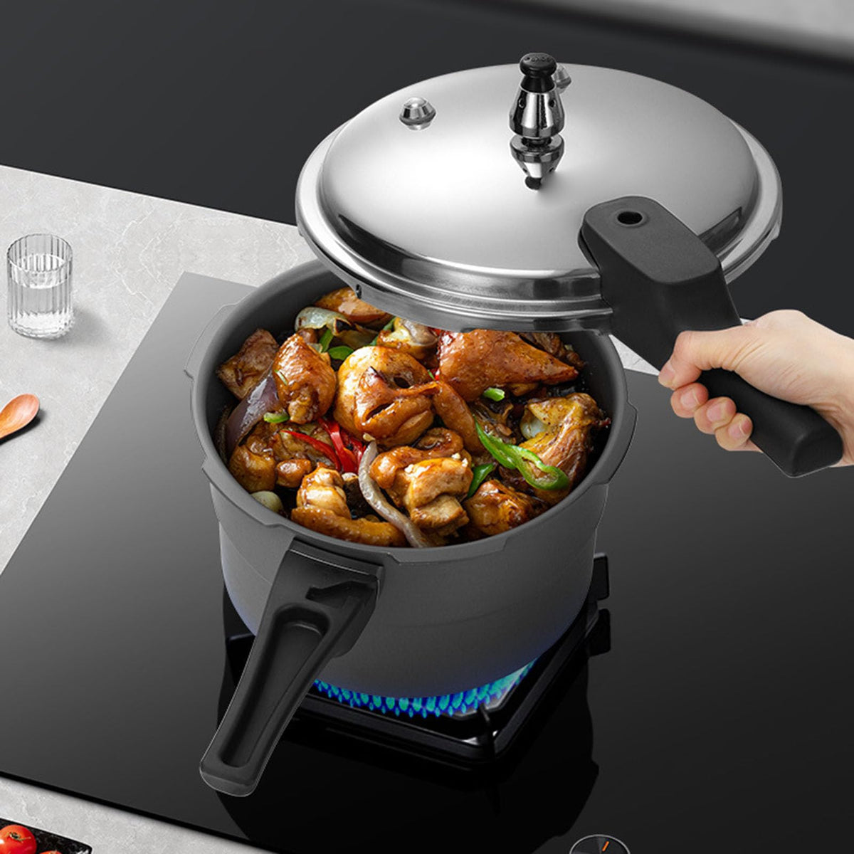 Universal Pressure Cooker 3L L891313