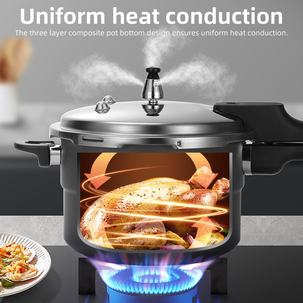 Universal Pressure Cooker 3L L891313