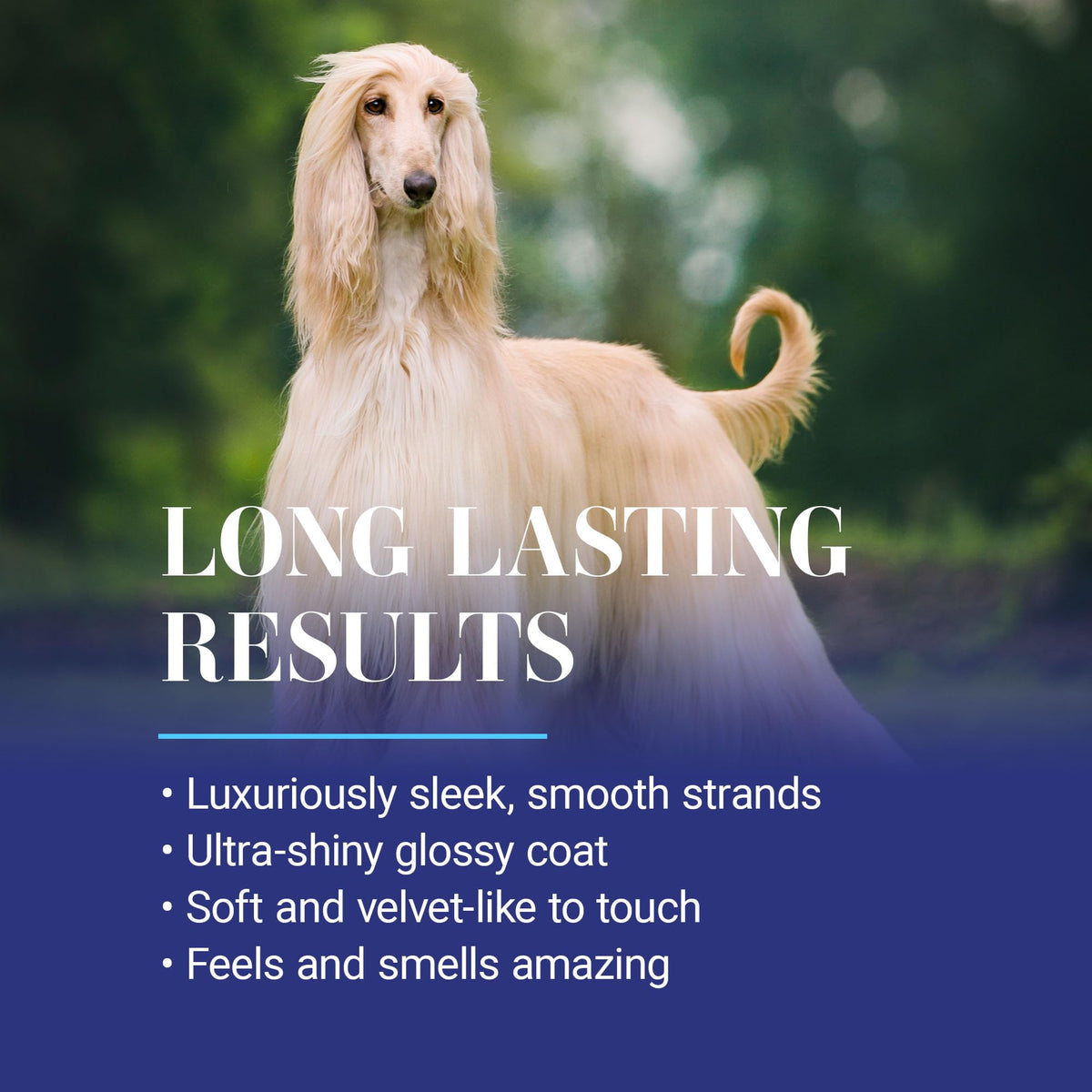 16oz Dog Conditioner X220