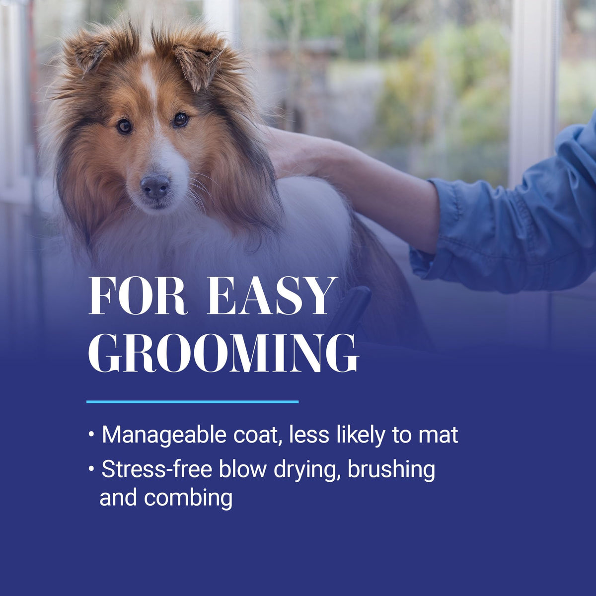 16oz Dog Conditioner X220