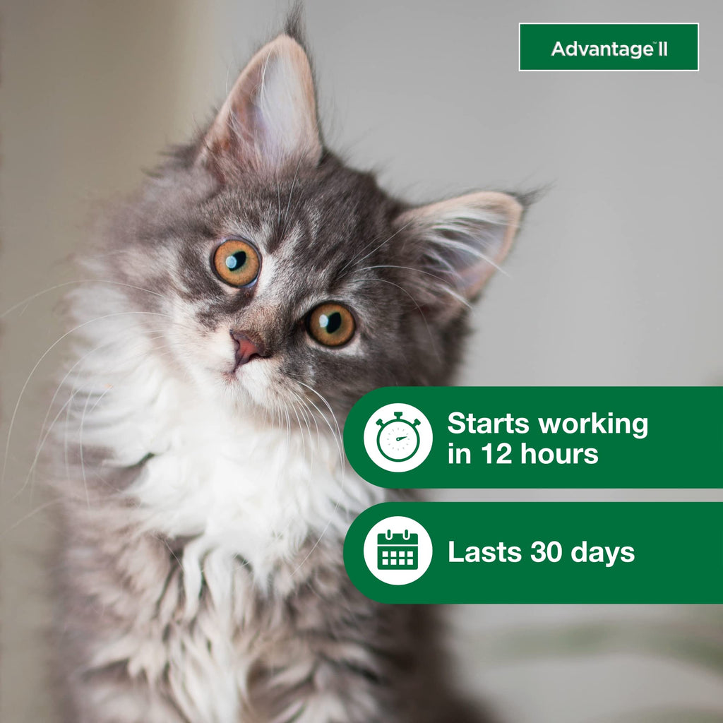 Topical Flea Treatment & Prevention 2ct J101028