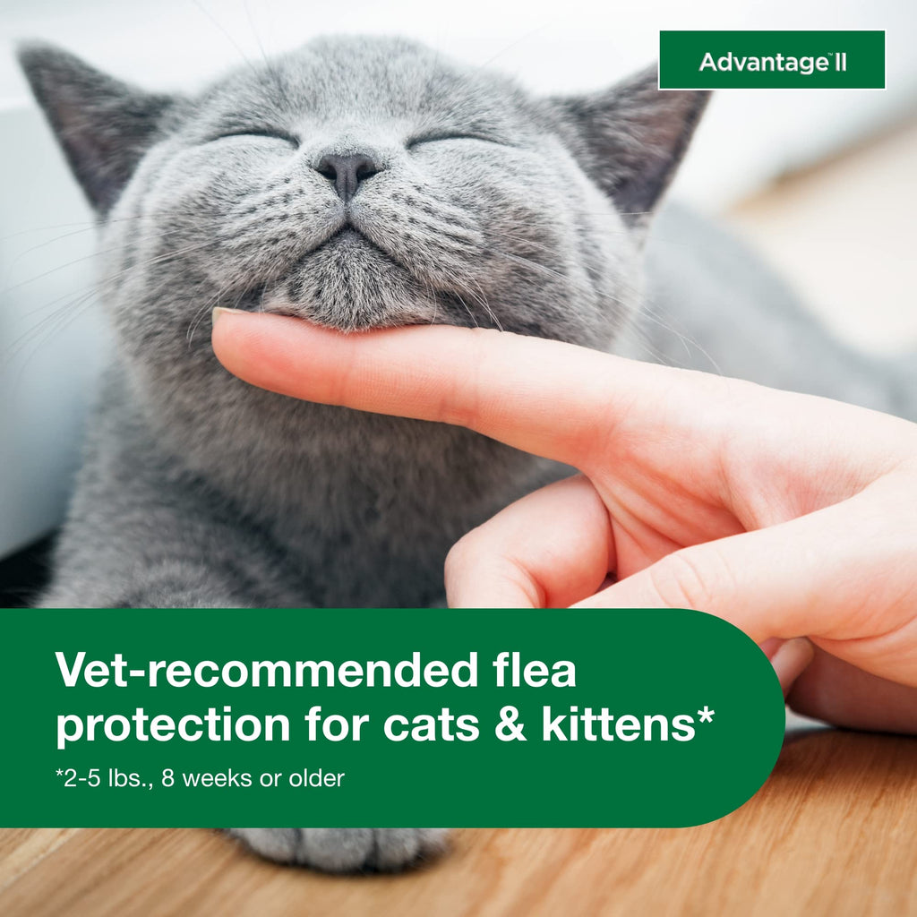 Topical Flea Treatment & Prevention 2ct J101028