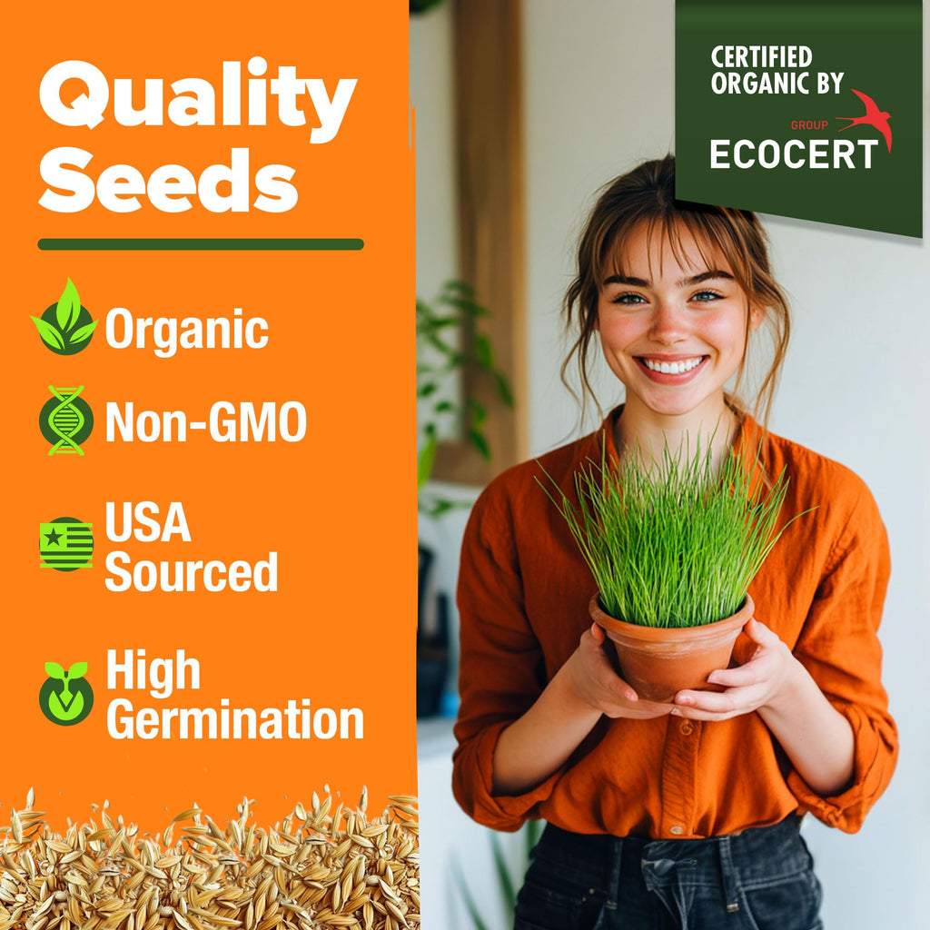 Organic Cat Grass Seeds 8oz Oat & Barley R795978