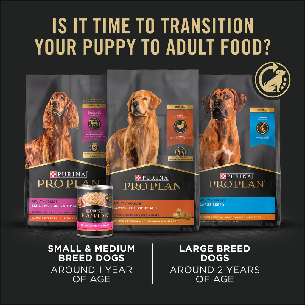 Chicken & Rice Small Breed Puppy Food 6 lb Bag P7958