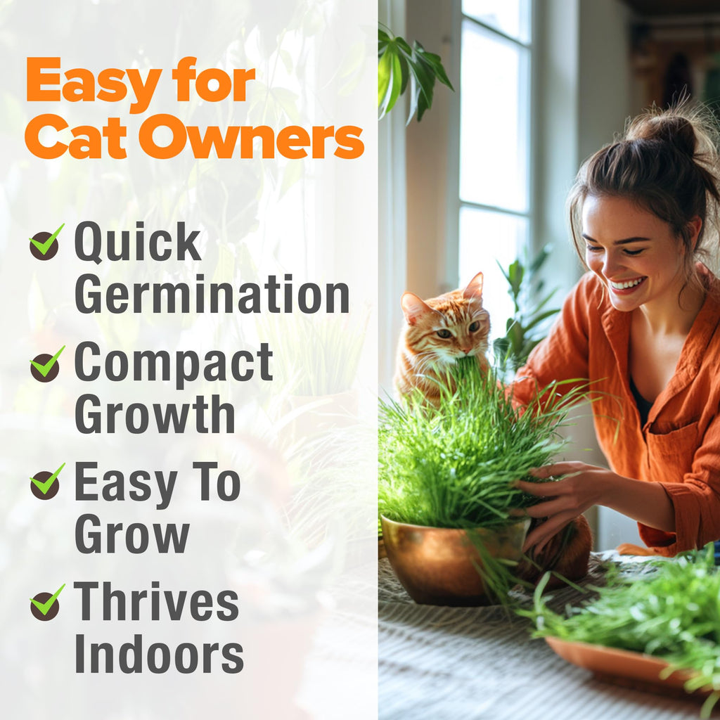 Organic Cat Grass Seeds 8oz Oat & Barley R795978