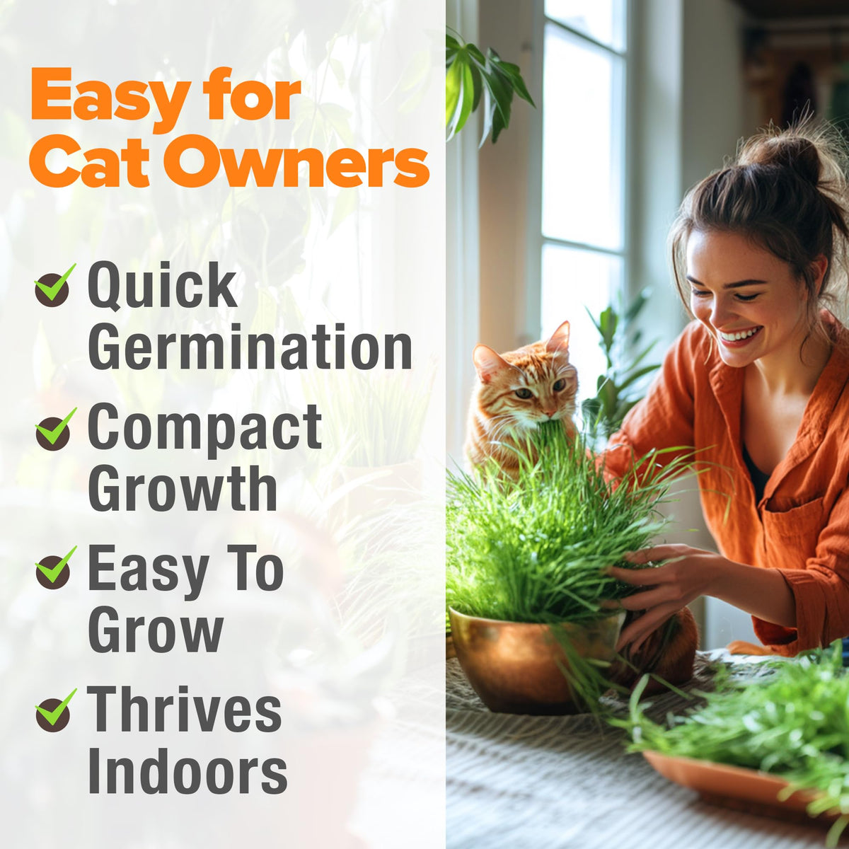 Organic Cat Grass Seeds 8oz Oat & Barley R795978
