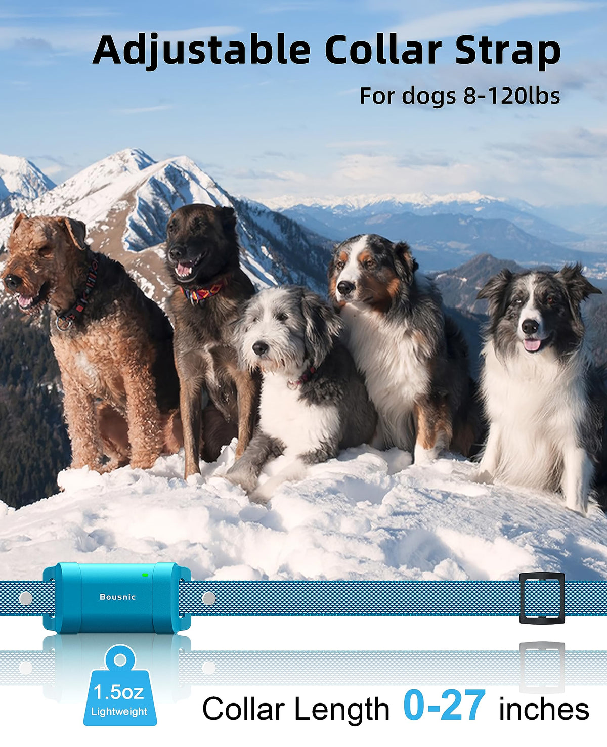 Waterproof Dog Training Collar with Remote Y4793