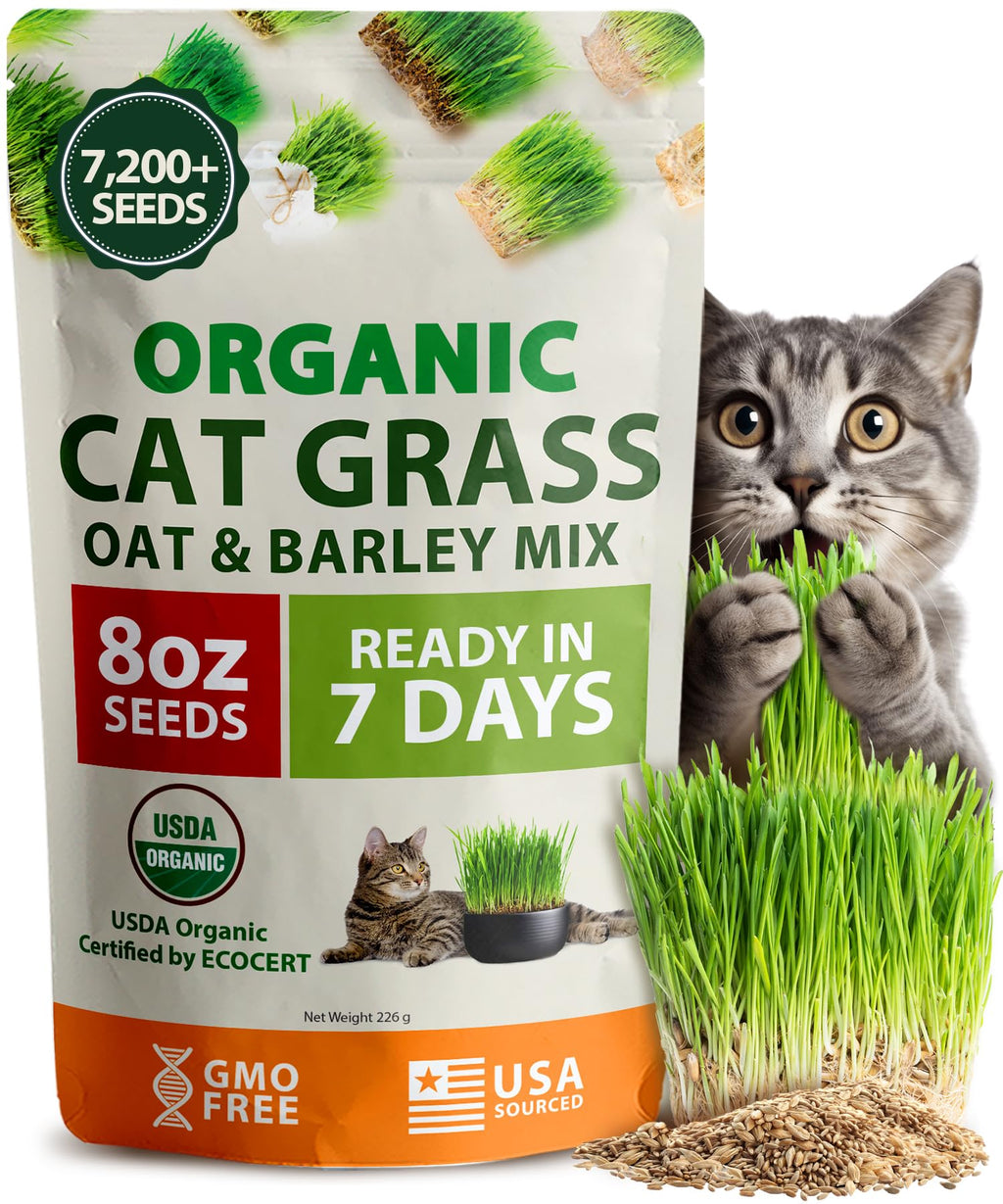 Organic Cat Grass Seeds 8oz Oat & Barley R795978