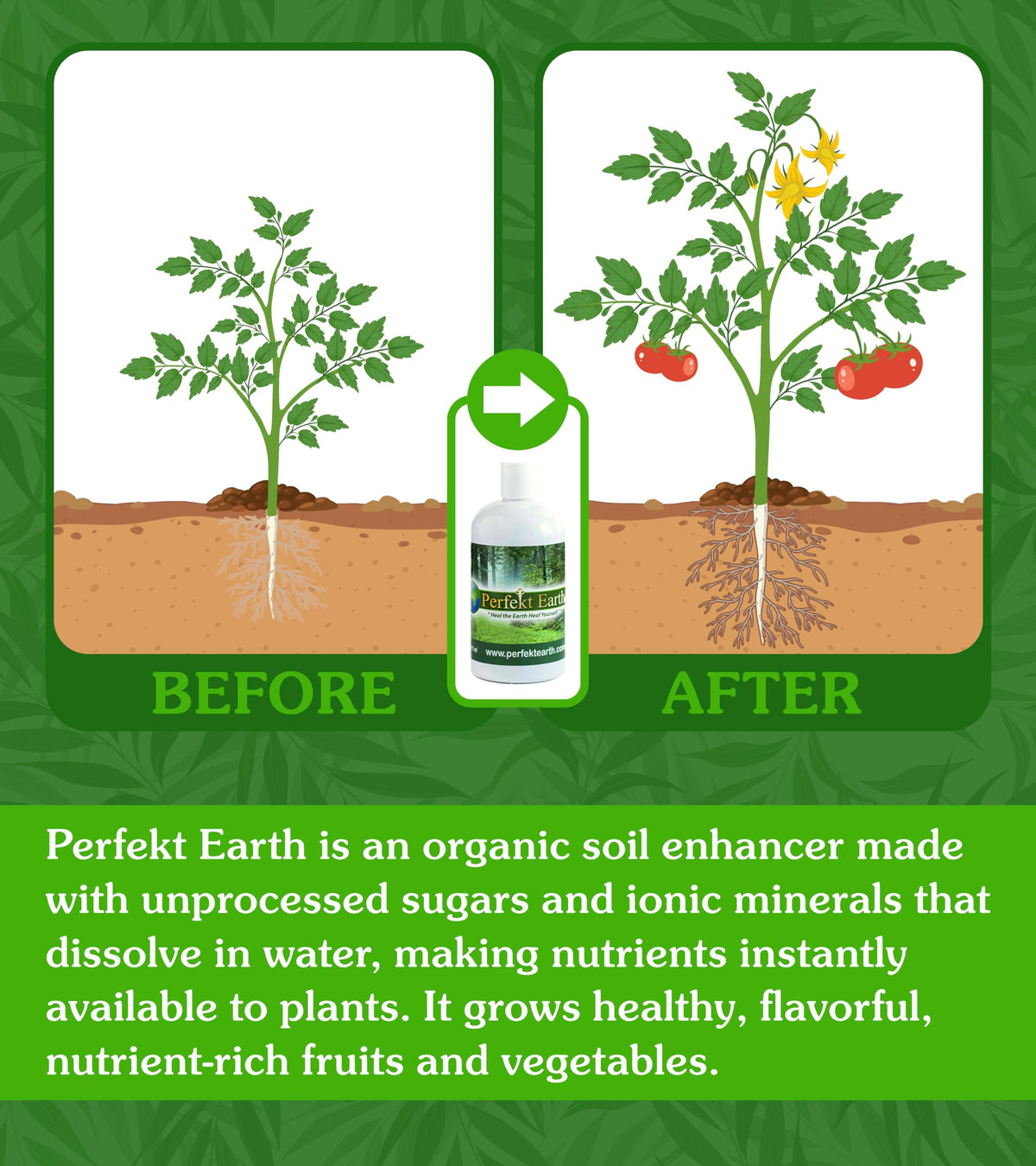 Organic Liquid Fertilizer 1 Pint S220674