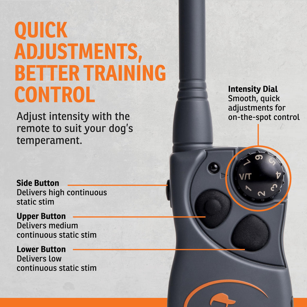 Waterproof Remote Trainer C541471