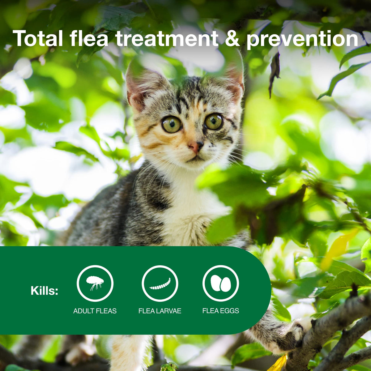 Topical Flea Treatment & Prevention 2ct J101028