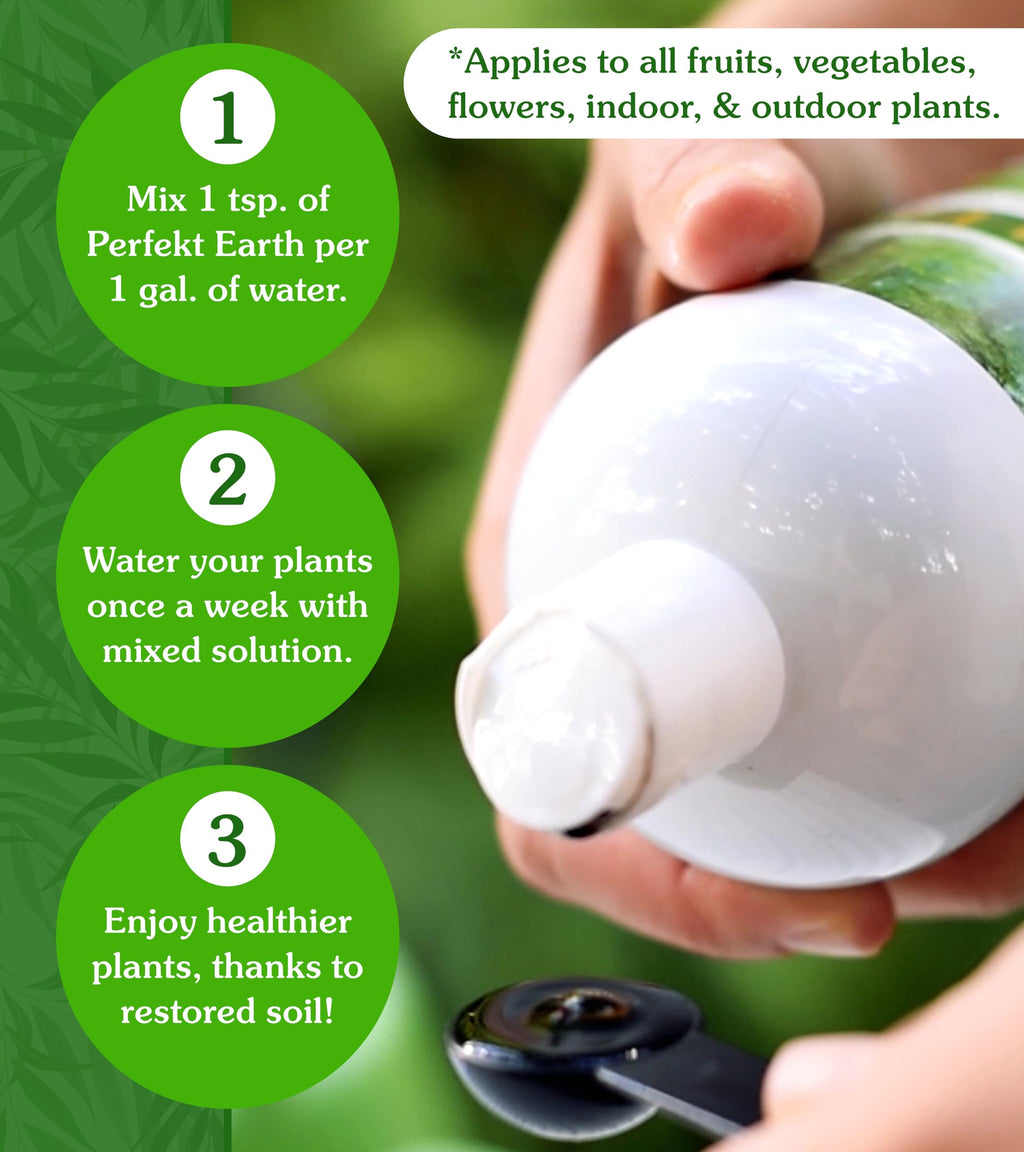 Organic Liquid Fertilizer 1 Pint S220674