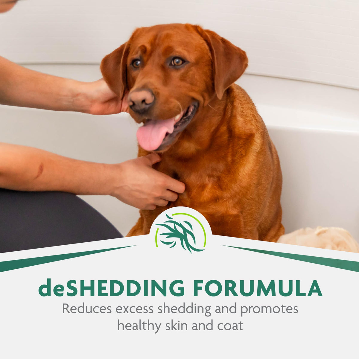 16 oz Dog deShedding Shampoo E271