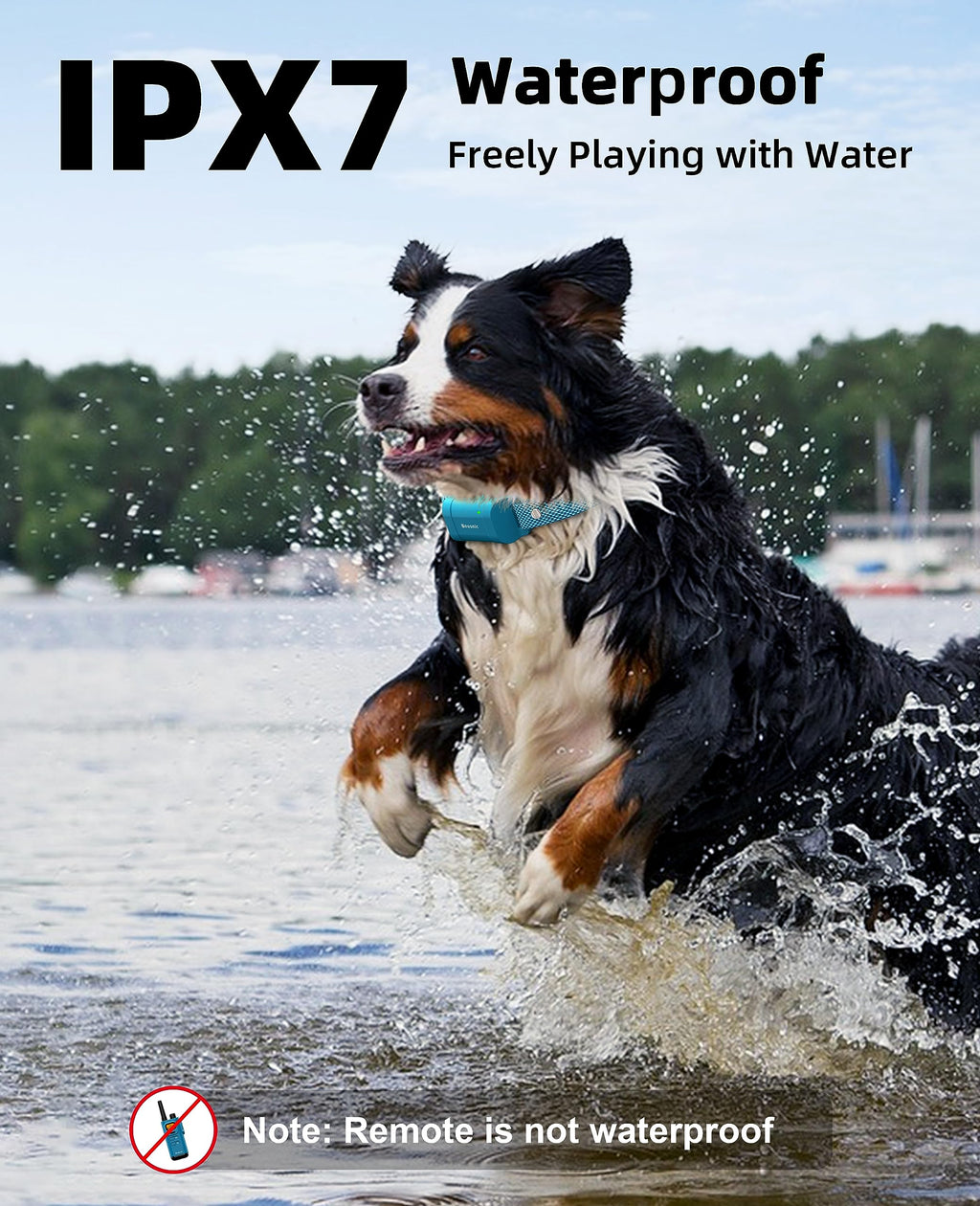 Waterproof Dog Training Collar with Remote Y4793