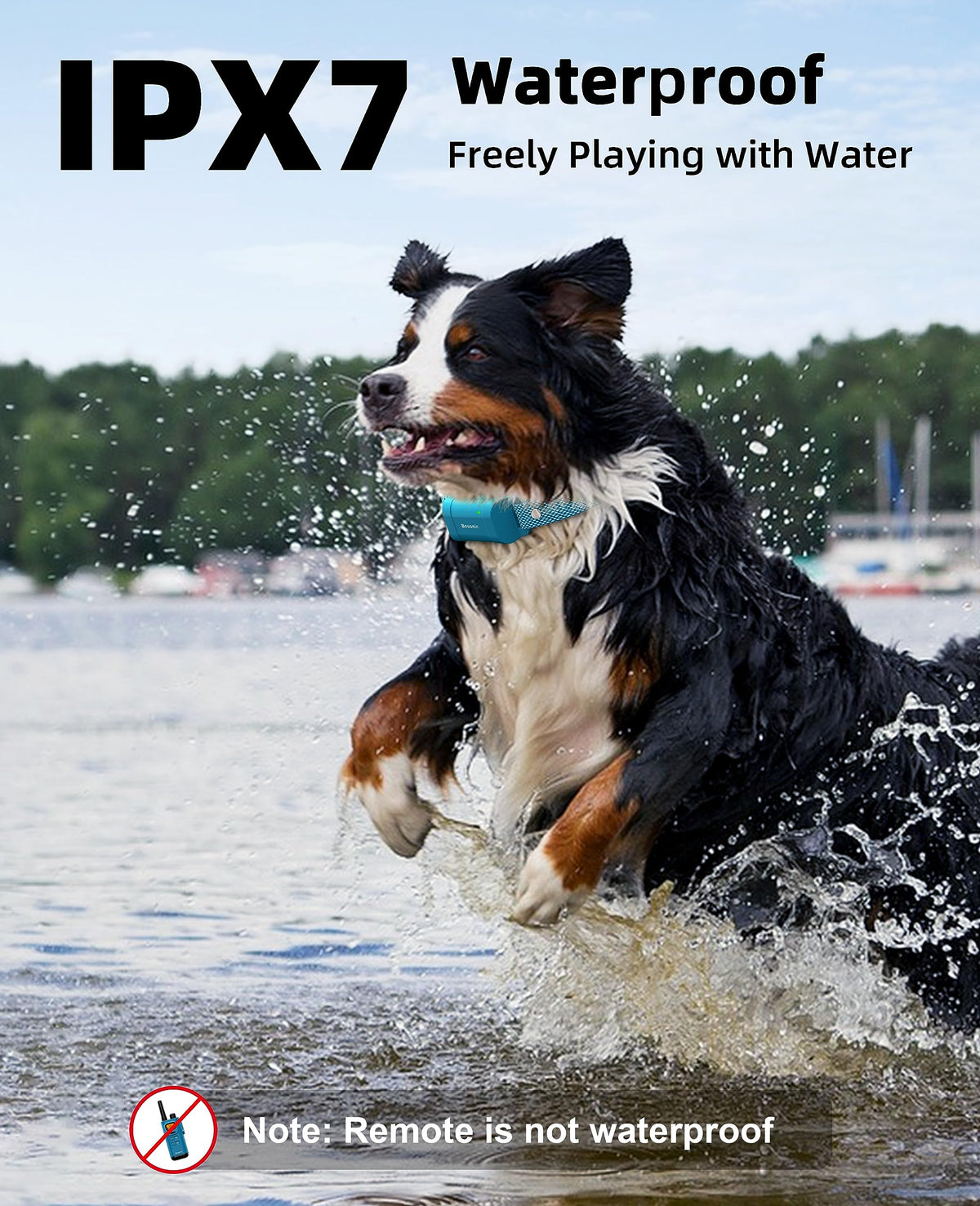Waterproof Dog Training Collar with Remote Y4793