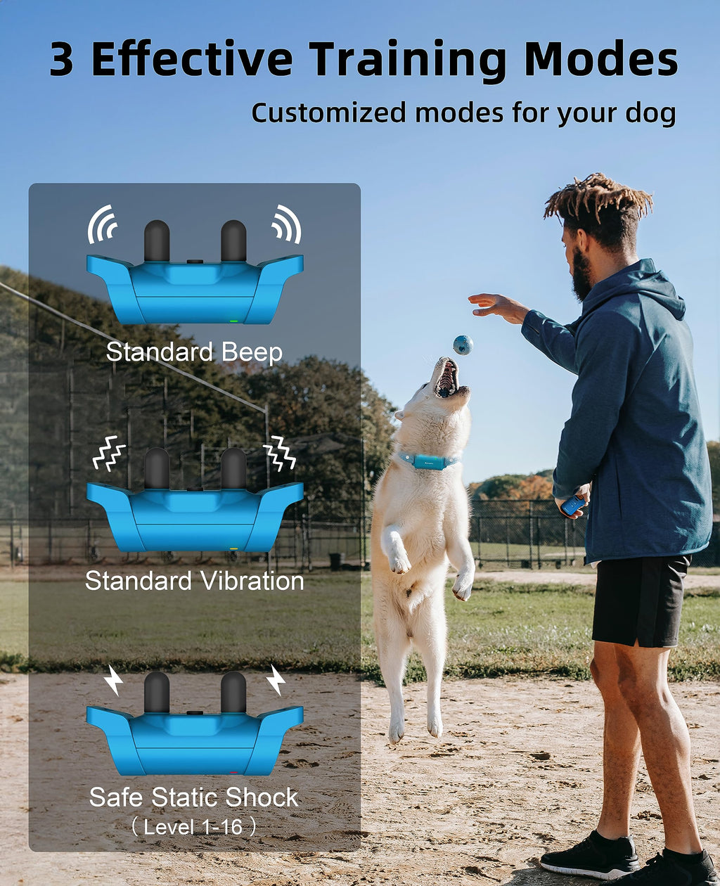 Waterproof Dog Training Collar with Remote Y4793