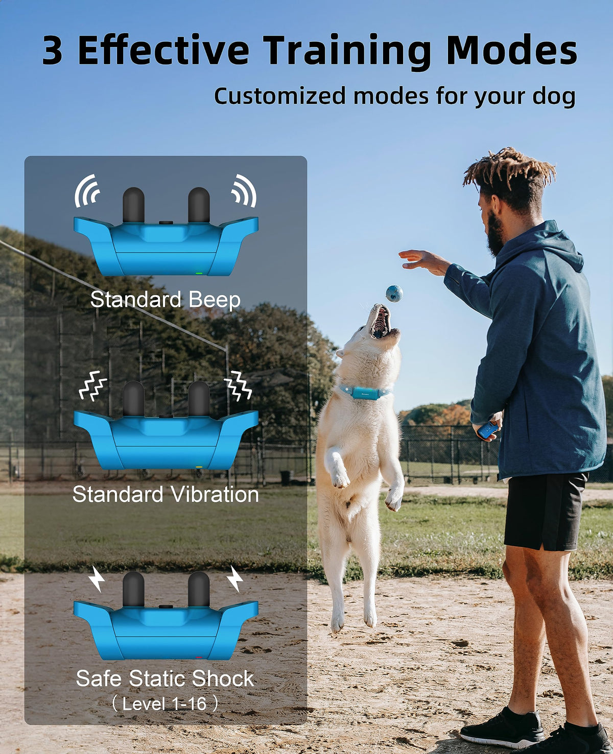 Waterproof Dog Training Collar with Remote Y4793