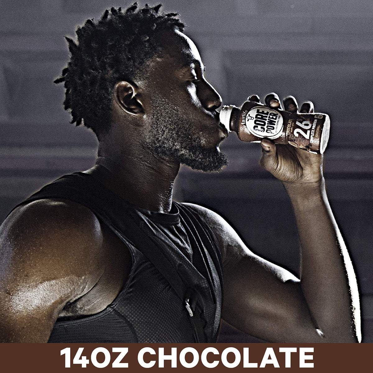 Chocolate Protein Shake 14 Fl Oz and 11.5 Fl Oz O516563