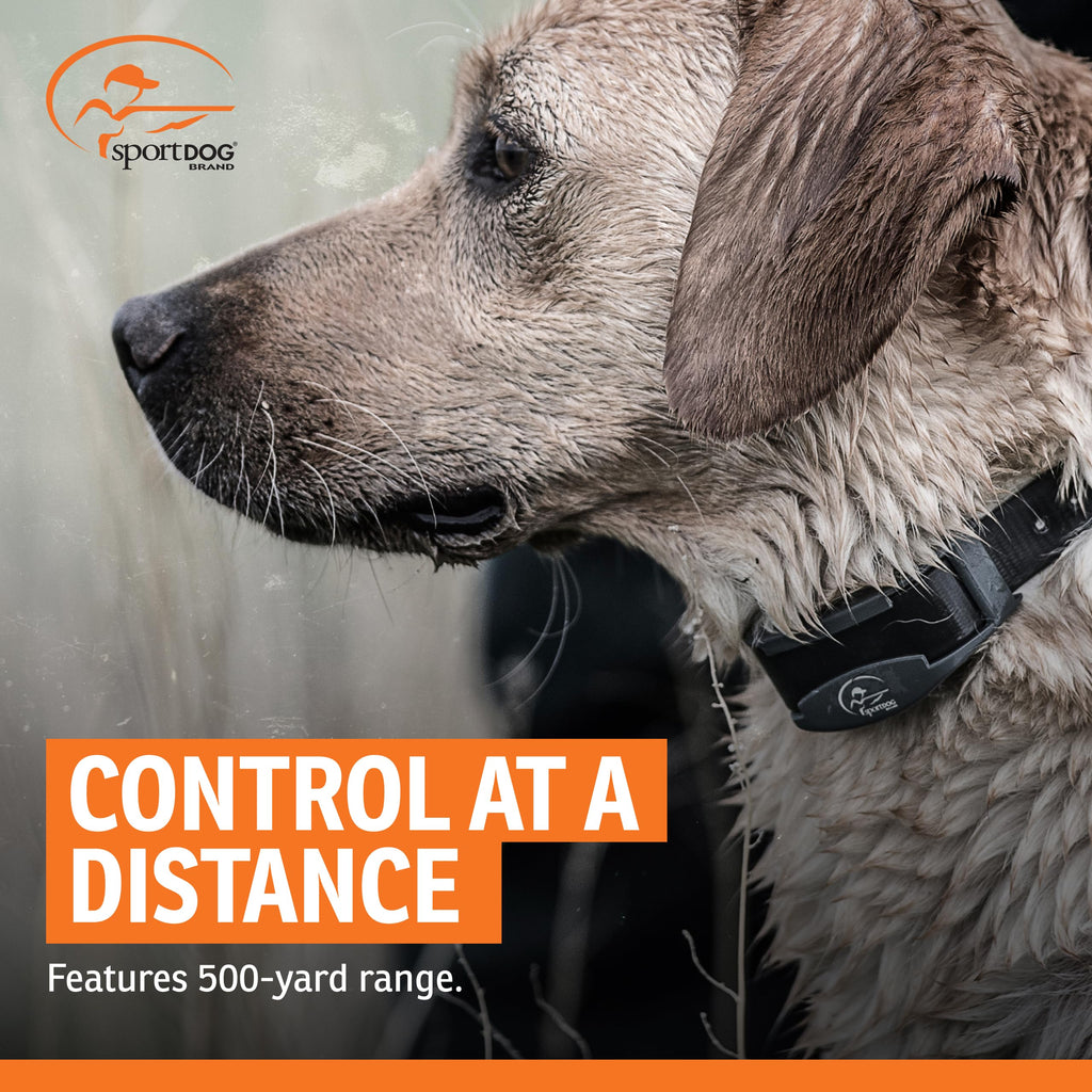 Waterproof Remote Trainer C541471