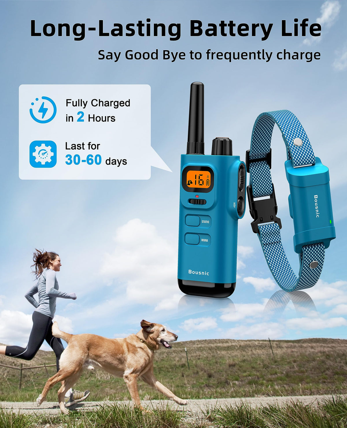 Waterproof Dog Training Collar with Remote Y4793