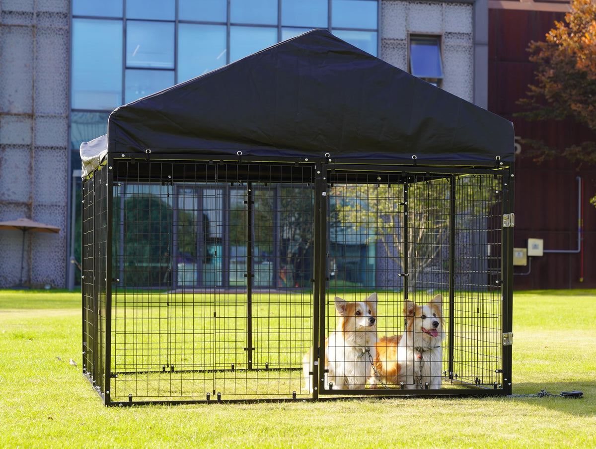 79” x 79” Large Outdoor Dog Enclosure M4664